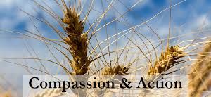 Compassion & action